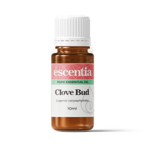 Clove Bud Essential Oil, 10ml